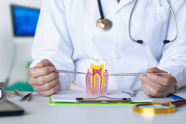 Best Orthodontic Emergency Dentist in West Chicago, IL